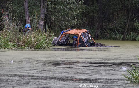 Buggy z pomarańczową klatką po szyby w stawie pokrytym rzęsą, obok trzciny